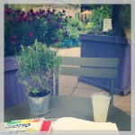 Queen Elizabeth Roof Terrace