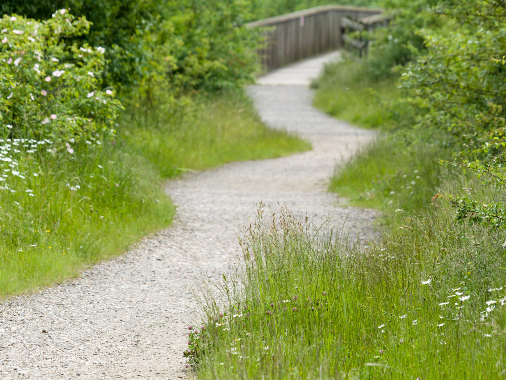 Winding path